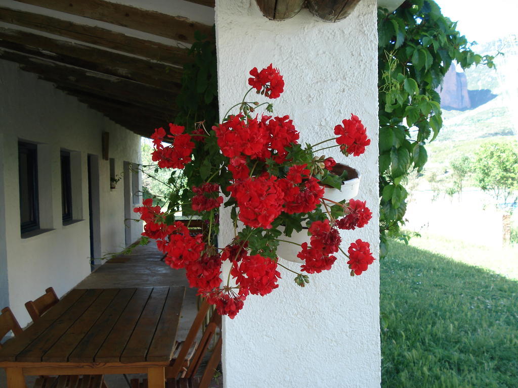 Camping Bungalows Armalygal Murillo de Gallego Room photo